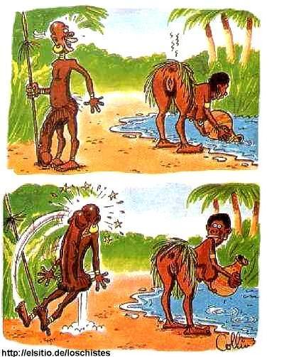 un mako afrikain